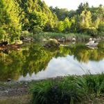 False Creek Duck Pond photo # 17
