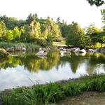 False Creek Duck Pond photo # 16