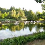 False Creek Duck Pond photo # 14