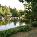 False Creek Duck Pond photo # 13