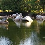 False Creek Duck Pond photo # 12