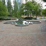 Metrotown Dolphins photo # 7