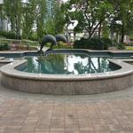 Metrotown Dolphins photo # 5