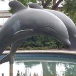 Metrotown Dolphins