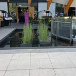 Telus Garden photo # 14