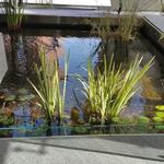 Telus Garden photo # 11