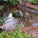 Hermit's Bath