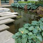 HKU-UBC House Rock Pond photo # 9