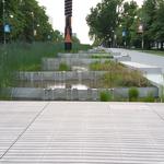 UBC Ladder Marsh photo # 38