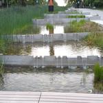 UBC Ladder Marsh photo # 36