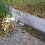 UBC Ladder Marsh photo # 25