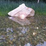 UBC Ladder Marsh photo # 21