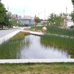 UBC Ladder Marsh photo # 26