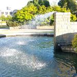 Van Pelt's Fountain photo # 10