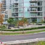 Bayshore Drive photo # 8