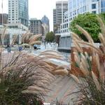 Canada Place Flag Pond photo # 5