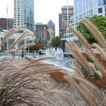 Canada Place Flag Pond photo # 4