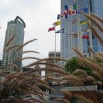 Canada Place Flag Pond photo # 24