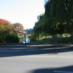 Granville Island Duck Pond photo # 21