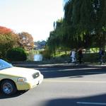 Granville Island Duck Pond photo # 22