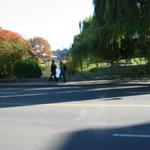 Granville Island Duck Pond photo # 19