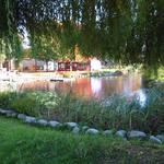 Granville Island Duck Pond photo # 20