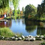 Granville Island Duck Pond photo # 18