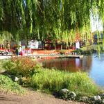 Granville Island Duck Pond photo # 16