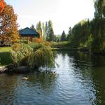 Granville Island Duck Pond photo # 7