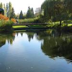 Granville Island Duck Pond photo # 2