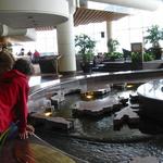 Pan Pacific Rim Map Pool photo # 17