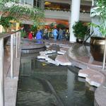 Pan Pacific Rim Map Pool photo # 18