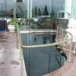 Pan Pacific Rim Map Pool photo # 19