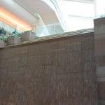 Pan Pacific Water Wall photo # 4