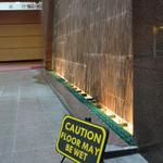 Pan Pacific Water Wall photo # 6