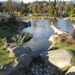 Stone Bridge Pond