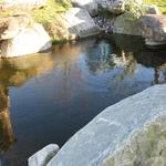 Stone Bridge Pond photo # 7