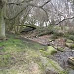 Vanier Point Pond and Bridge photo # 19