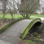 Vanier Point Pond and Bridge photo # 17