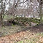 Vanier Point Pond and Bridge photo # 15