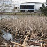 Vanier Point Pond and Bridge photo # 14