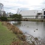 Vanier Point Pond and Bridge photo # 12