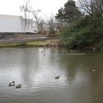 Vanier Point Pond and Bridge photo # 11