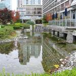 Westin Bayshore Hotel photo # 7