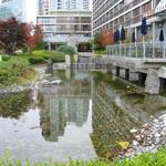 Westin Bayshore Hotel photo # 7