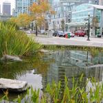 Westin Bayshore Hotel photo # 3