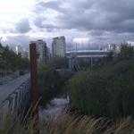 Olympic Village Duck Pond photo # 3