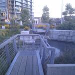 Olympic Village Duck Pond photo # 23