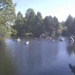 False Creek Duck Pond photo # 2