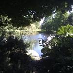 False Creek Duck Pond photo # 7